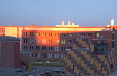 sonnenaufgang4.jpg